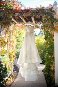 Wedding Dress in the Gardens Photo